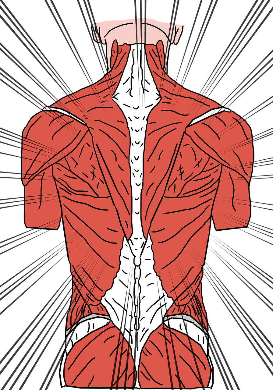 physiotherapie: effektive behandlung zur förderung von bewegung und schmerzfreiheit durch gezielte körperliche therapie und rehabilitation.