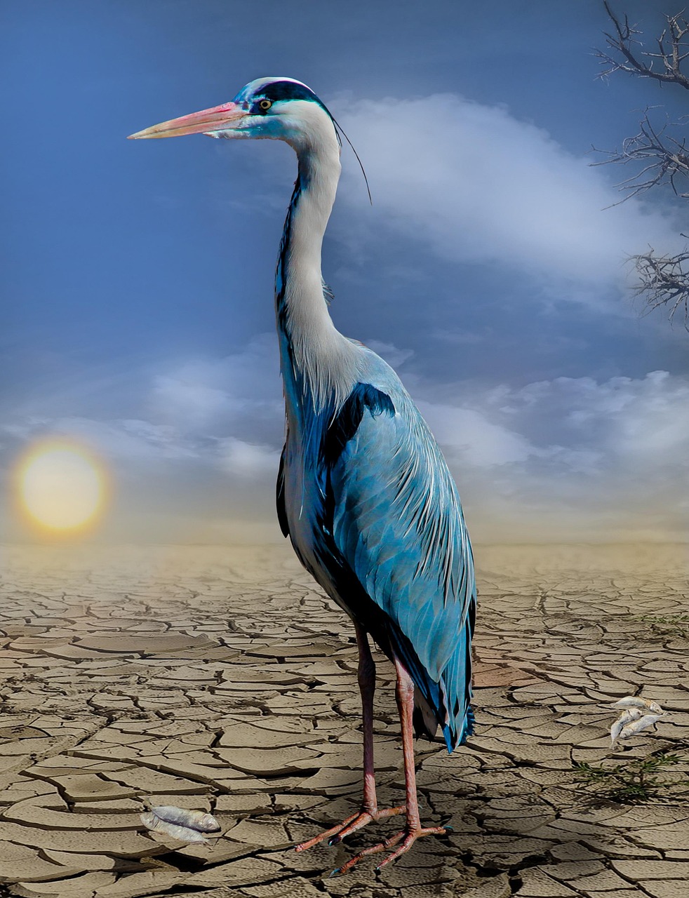Welche Länder profitieren am meisten vom Klimawandel?