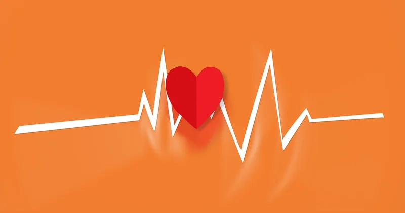 EKG-Auffälligkeiten: was wirklich dahintersteckt