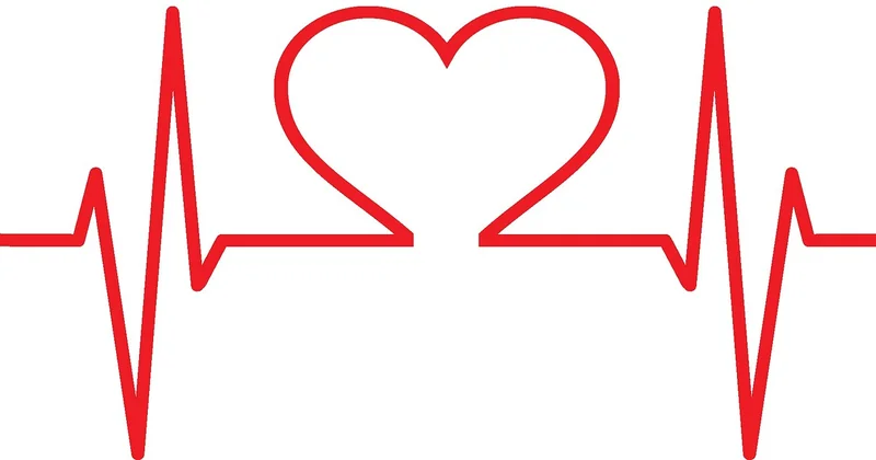 EKG-Auswertung: die Normwerte, auf die es ankommt