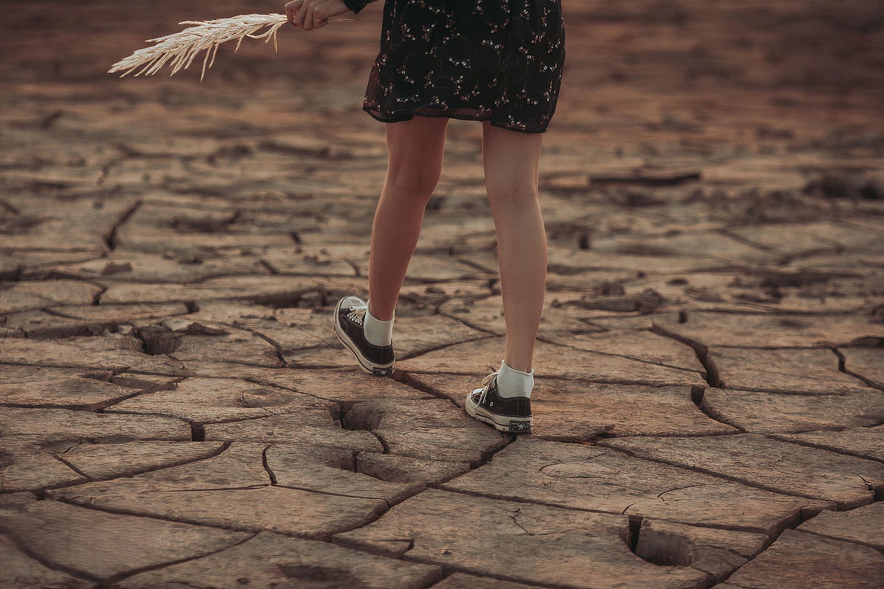 erfahren sie mehr über den demografischen wandel und seine auswirkungen auf die gesellschaft, wirtschaft und kultur. entdecken sie, wie sich altersstruktur, migration und geburtenraten verändern und welche herausforderungen und chancen sich daraus ergeben.