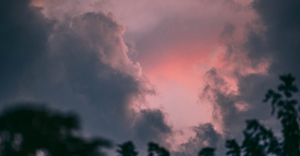 entdecken sie inspirierende geschichten von menschen, die ihre träume verwirklichen, herausforderungen meistern und andere motivieren. lassen sie sich von positiven erfahrungen und einzigartigen lebenswegen begeistern.