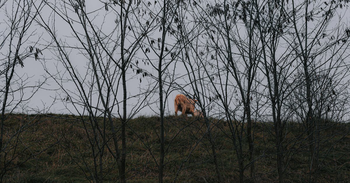 entdecken sie, wie kleine veränderungen großes bewirken können! praktische tipps und inspirationen für mehr erfolg und wohlbefinden im alltag.