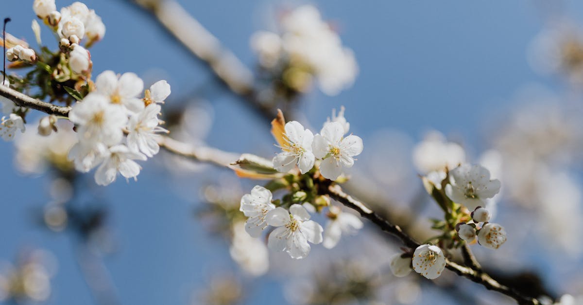 entdecken sie, wie kleine veränderungen große wirkung haben können. praktische tipps und inspirationen für alltag und beruf – mit kleinen schritten zu mehr erfolg und wohlbefinden.