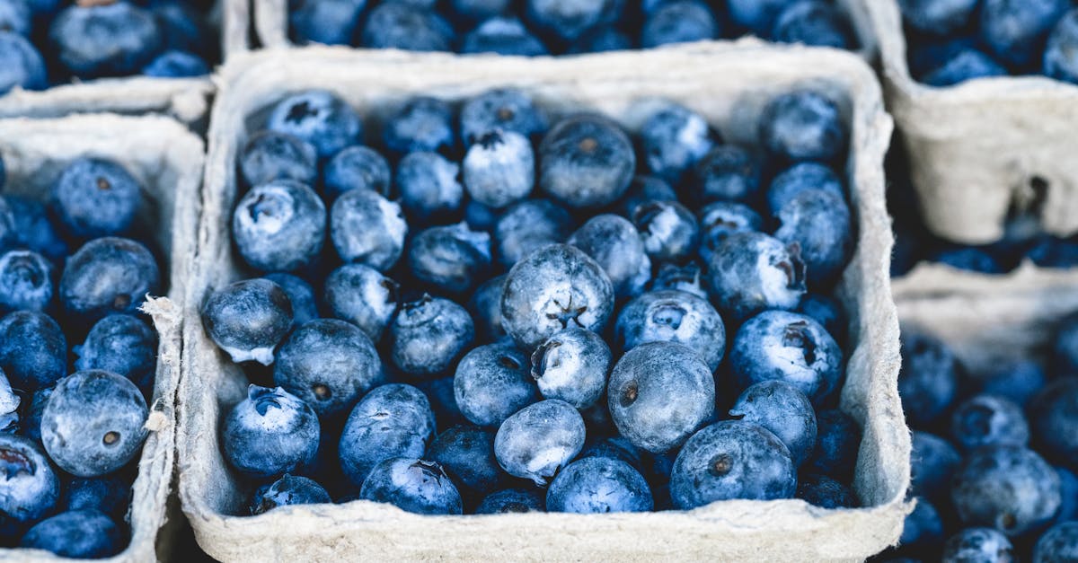 entdecken sie leckere bio-lebensmittel – natürlich, nachhaltig und gesund. informieren sie sich über vorteile, qualität und die besten bio-produkte für eine bewusste ernährung.