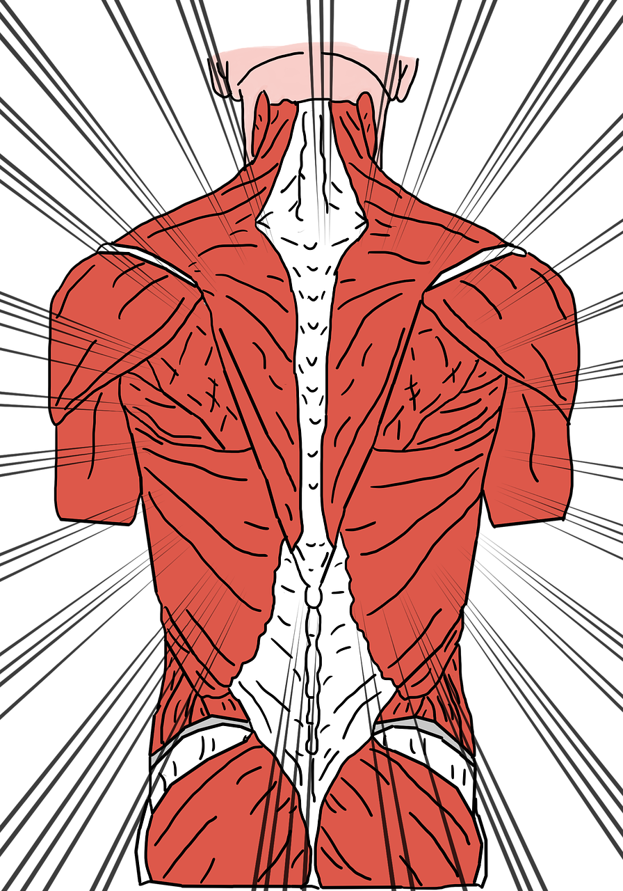 physiotherapie: effektive behandlung zur förderung von bewegung und schmerzfreiheit durch gezielte körperliche therapie und rehabilitation.